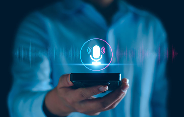 Voice Networks